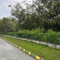 Aashrithaa Brindavan